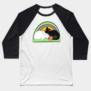 Cute bunny rabbit family, mama, papa and baby, albino, black and ginger bunnies with a rainbow tie die background Baseball T-Shirt